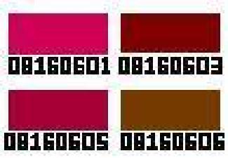 delineadordelabioscolor.jpg