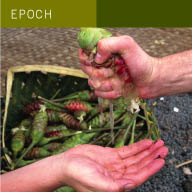 epoch_192_ban.jpg