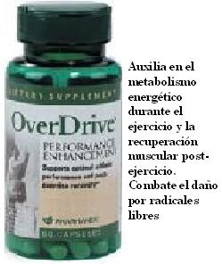 overdrive.jpg
